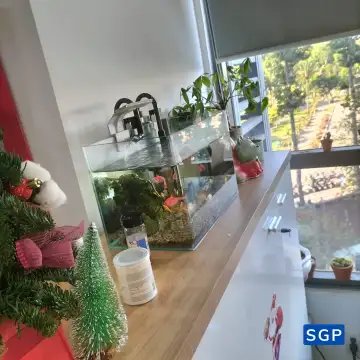 Cải tạo văn phòng và lắp đặt nội thất cho công ty ở đường Phổ Quang