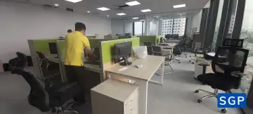 vách nỉ xanh lá kết hợp màu kem